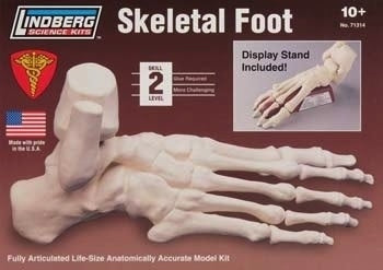 Lindberg 71314 Skeletal Foot 1/1 Educational Kit (Level 2)