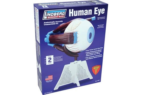 Lindberg 71307 Human Eye 4/1 Educational Kit (Level 2) NIB