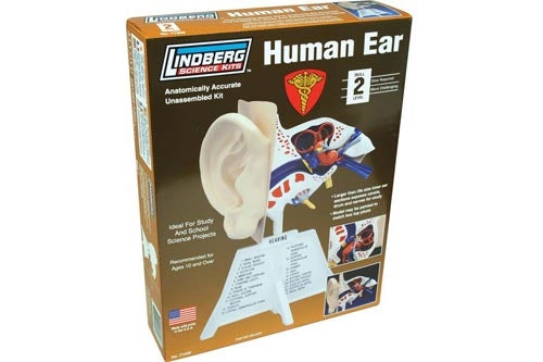 Lindberg 71308 Human Ear Educational Kit (Level 2) NIB