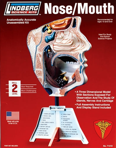 Lindberg 71310 Nose/ Mouth 1/1 Educational Kit (Level 2) NIB