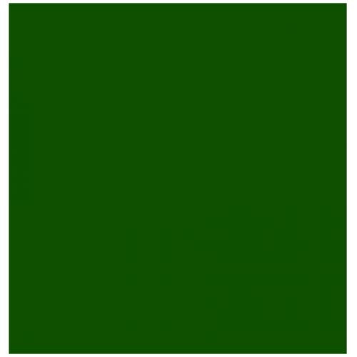 Rapido Proto-Paint 330046 GO Green Acrylic Airbrush Ready Paint 1oz (29.5mL) NIB