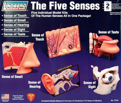Lindberg 71315 The Five Senses (Touch, Smell, Hearing, Sight, Taste) Educational Kit (Level 2) NIB