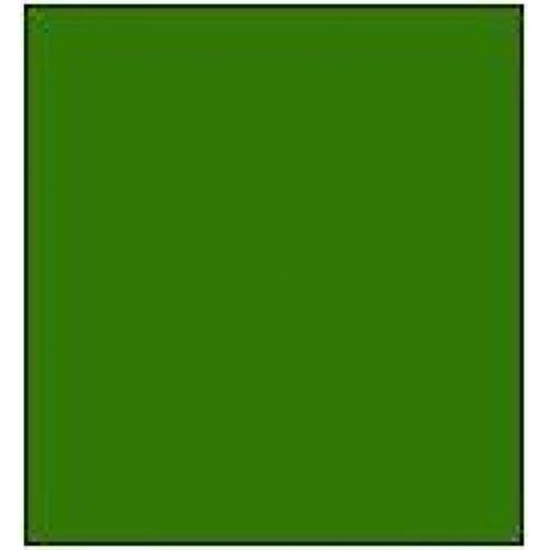 Rapido Proto-Paint 330040 BCR Light Green Acrylic Airbrush Ready Paint 1oz (29.5mL) NIB